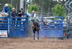 2024-wisconsin-river-pro-rodeo_r01_bb_drew-lind_jayco_74pts_doug-jorgensen-1