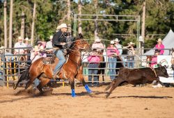 2024-wisconsin-river-pro-rodeo_r02__td_cody-huber_91sec_doug-jorgensen-2