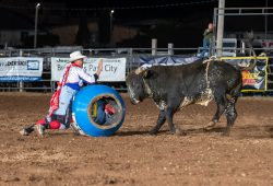 2024-wisconsin-river-pro-rodeo_r02_br_bullfighter_luke-moore_doug-jorgensen-1