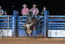 2024-wisconsin-river-pro-rodeo_r02_br_wyatt-dale_chasing-shadows_0pts_doug-jorgensen-1