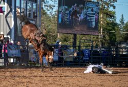 2024-wisconsin-river-pro-rodeo_r02_ranch-broncs_james-peterson_0pts_doug-jorgensen-1