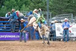 2024-wisconsin-river-pro-rodeo_r03__bb_tanner-fine_stock-_d6_78pts_doug-jorgensen-1