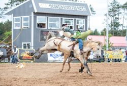 2024-wisconsin-river-pro-rodeo_r03__bb_tanner-fine_stock-_d6_78pts_doug-jorgensen-7