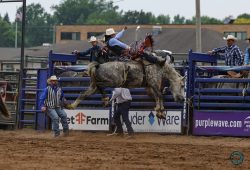 2025 Wisconsin River Pro Rodeo_2P_BB_Wilson, Jason_Barnes Pro Rodeo_S9 Buffalo Springs_Evans_6715