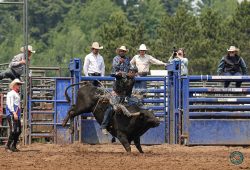 2025 Wisconsin River Pro Rodeo_3P_BR_Warken, Dakota_Barnes, Pro Rodeo_033 Cellophane_Evans_7403